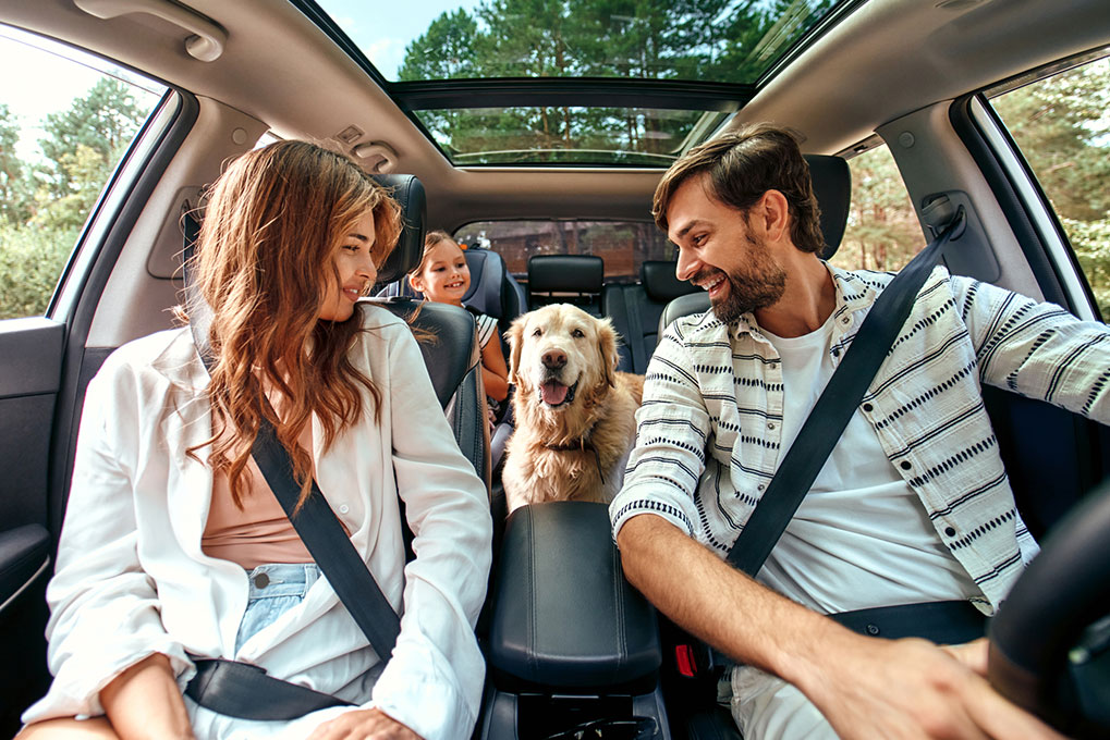 Tennessee Autoowners with Auto Insurance Coverage